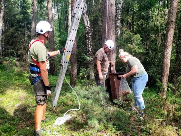 Wieszanie budek dla puszczyka i kowalika, 